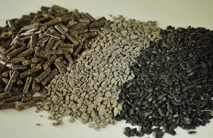 Ріпаковий шрот