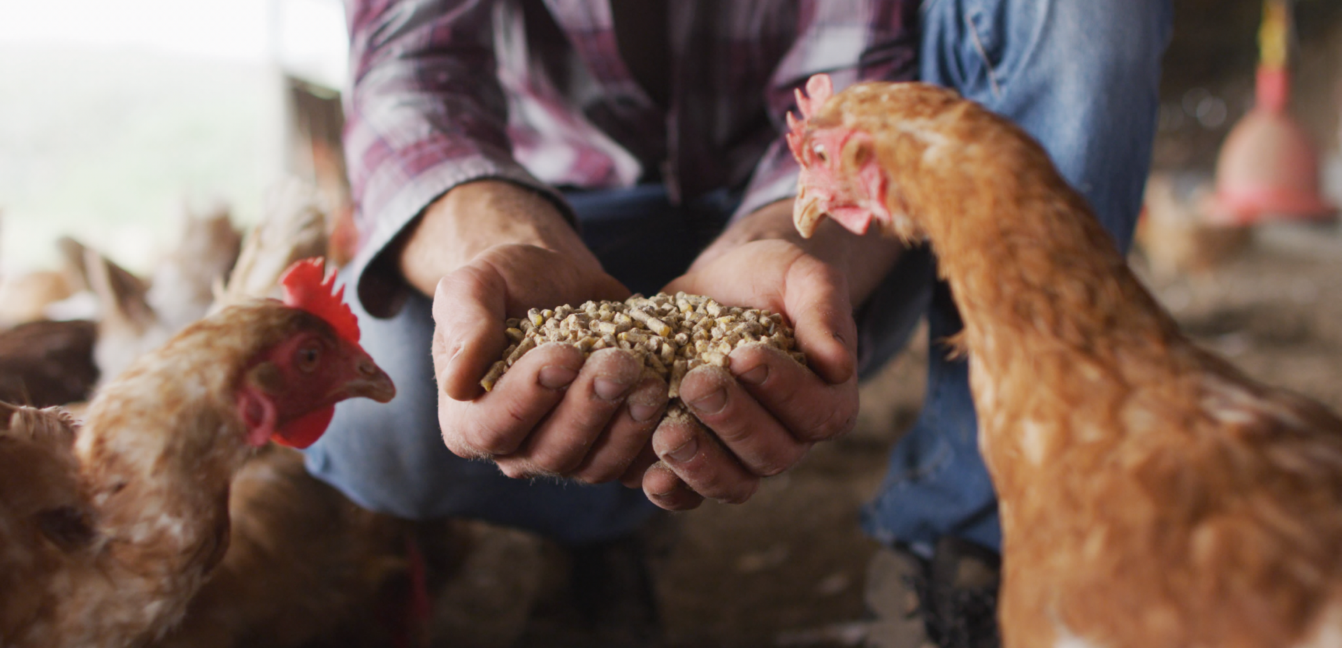 Фоновое изображение