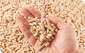 Паливна гранула