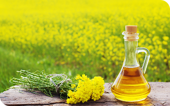 Ріпакова олія